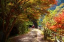 福知山線 廃線ウォーク